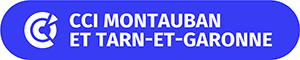 logo cci var